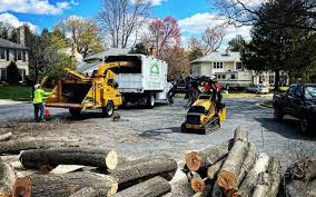  Woodlands, CA Tree Care Pros